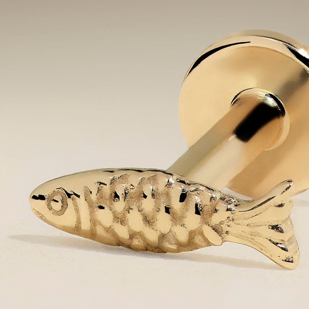 Fish Piercing Stud in Solid Gold